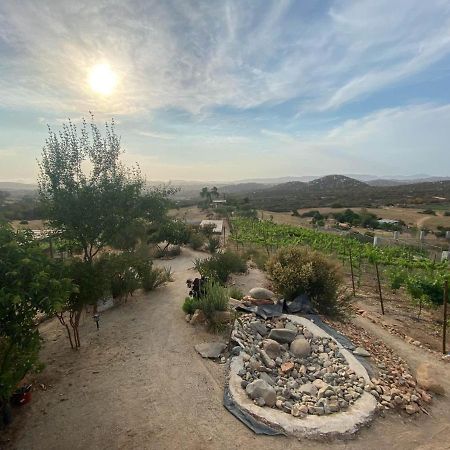 ואלה דה גוואדלופה Chalet Nativo - Fabulous Terrace & Vineyard מראה חיצוני תמונה