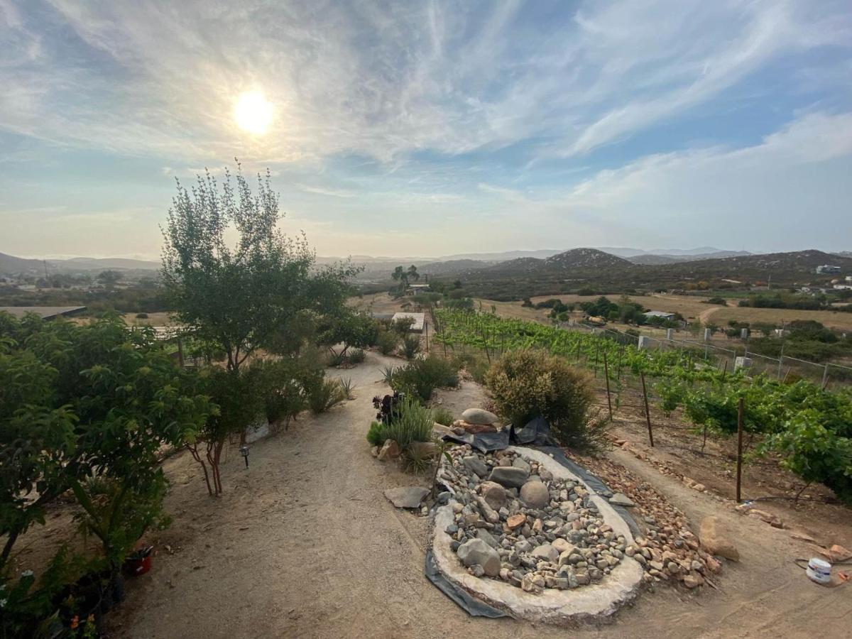 ואלה דה גוואדלופה Chalet Nativo - Fabulous Terrace & Vineyard מראה חיצוני תמונה