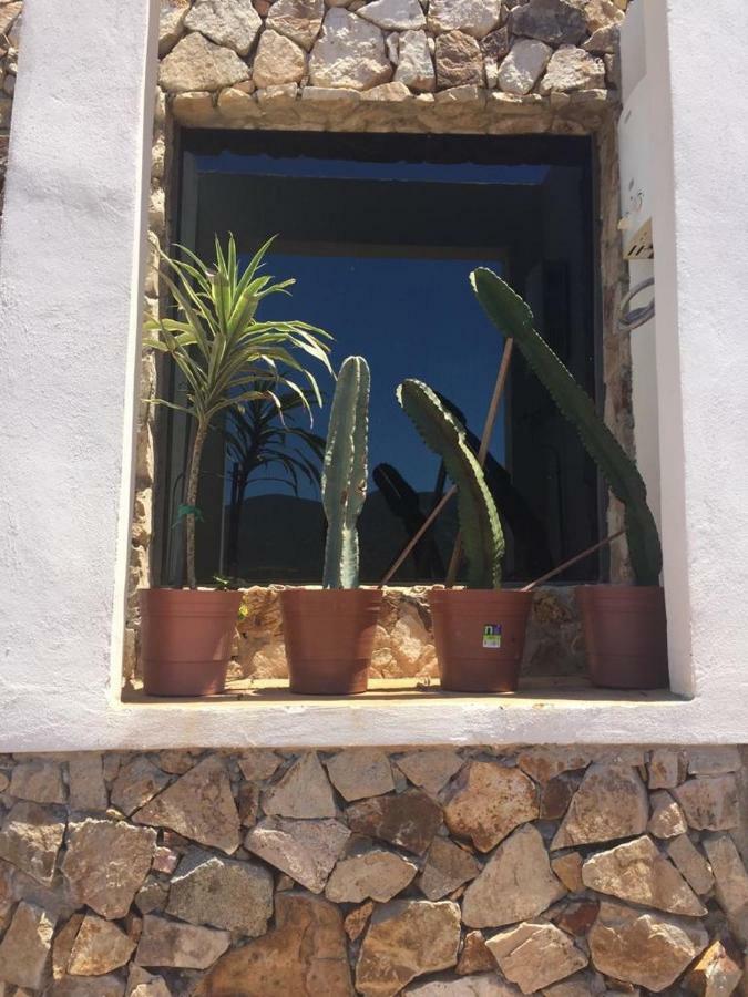 ואלה דה גוואדלופה Chalet Nativo - Fabulous Terrace & Vineyard מראה חיצוני תמונה
